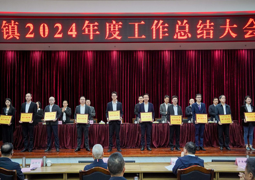 双项殊荣！尊龙集团官网电声荣登石排镇2024年度“双十强”榜单